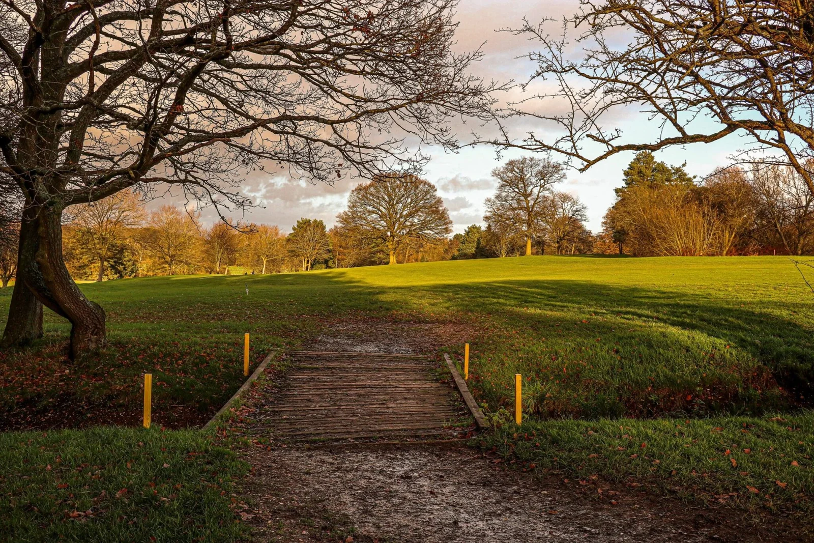 Borehamwood-3-scaled-1-min-2048x1366