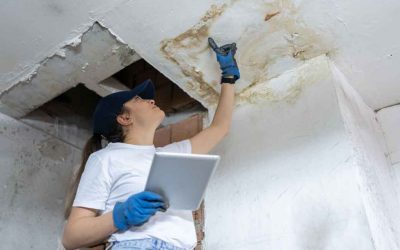 The Cost of Not Conducting a Building Survey – Real-Life Examples