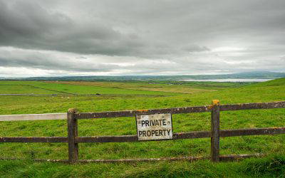 Which Fence Is Mine? Our Chartered Surveyors Explain The UK Rules On Fence Ownership
